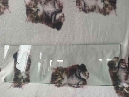 Photo of free Glass Shelf (Off Leylands Road RH15) #1