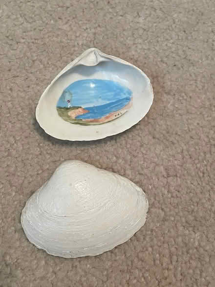 Photo of free Painted shells (Milton - Thompson and Derry) #2