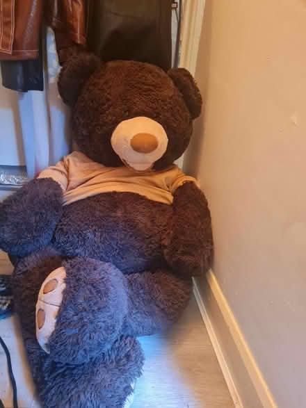 Photo of free Huge Teddy bear ๐งธ (Harlesden) #1