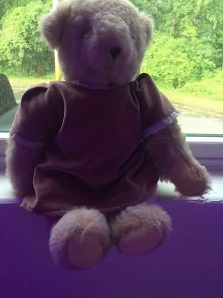 Photo of free Teddy bear (Brighten village drive) #1