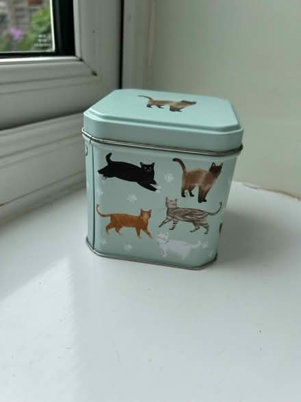 Photo of free Small blue cat tin (Jennetts park RG12) #1