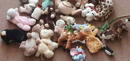 Photo of free Cuddly Toys (Westborough GU2) #2