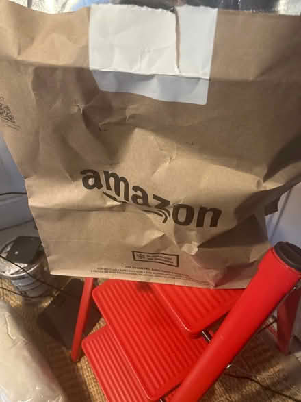 Photo of free Amazon foil lined bag ice blocks (Brockley SE4) #1