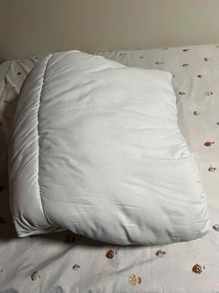 Photo of free Duvet , (size double ) (University of Sussex BN1) #1