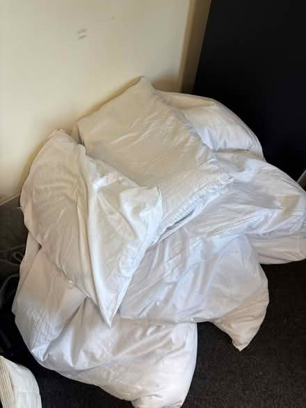 Photo of free Duvet + two pillows (Leeds LS2) #1