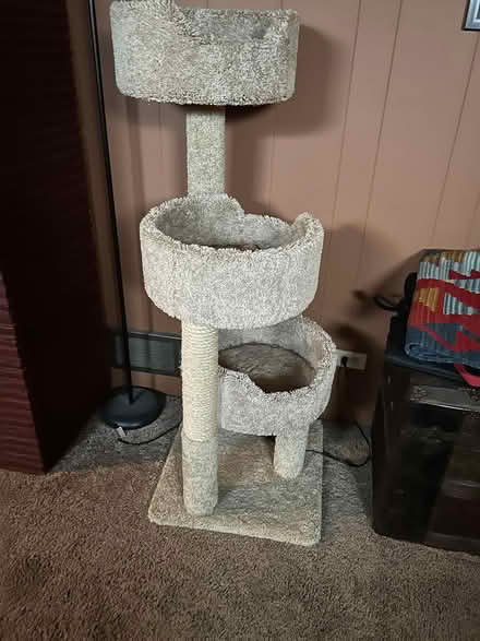 Photo of free cat tree & XL dog kennel (Shooks Run) #1
