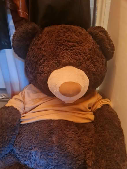 Photo of free Huge Teddy bear ๐งธ (Harlesden) #3