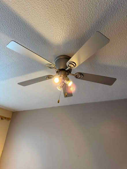 Photo of free Ceiling fans (M5 5qz) #4