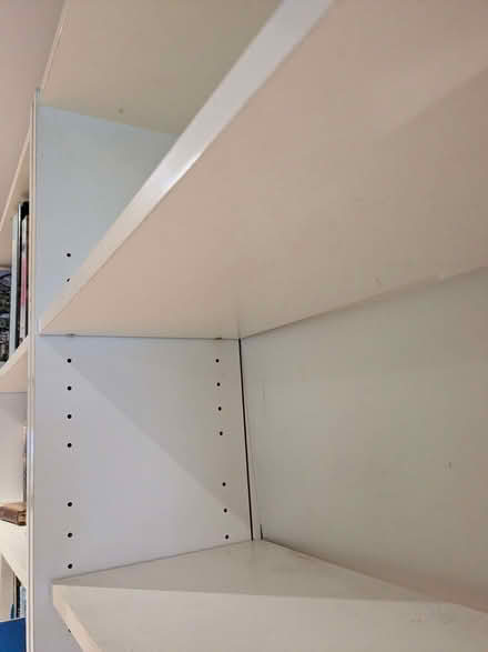 Photo of free Ikea Billy Bookcase (Presteigne LD8) #2
