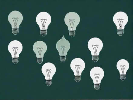 Photo of free Bulbs (Rose Hill BB11) #1