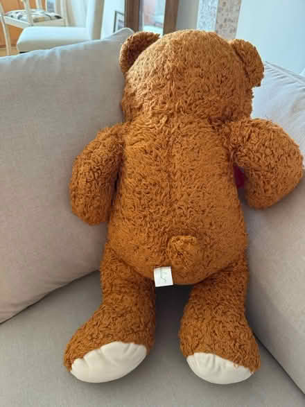 Photo of free Teddy Bear (Murray Hill, Manhattan) #2