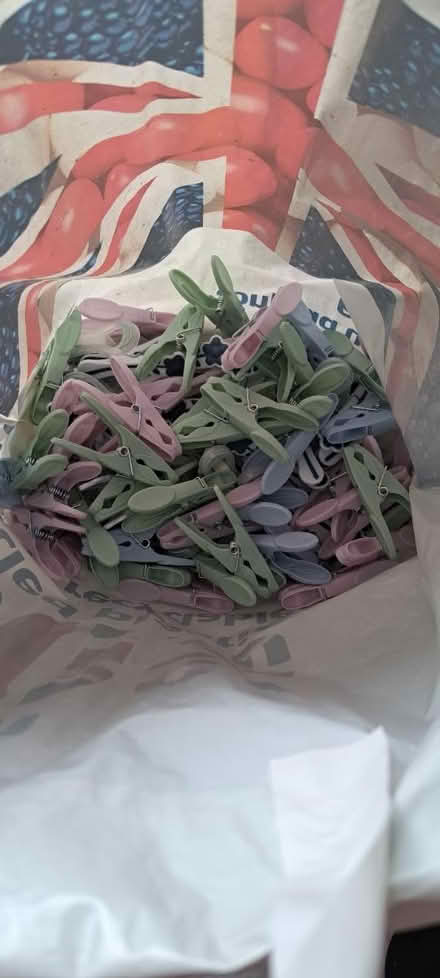 Photo of free Plastic Pegs (Cheshunt EN7) #1