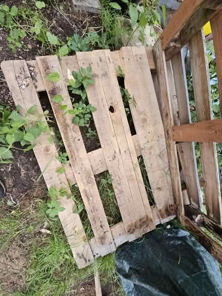 Photo of free Wooden pallet (Gu7 1ax) #1