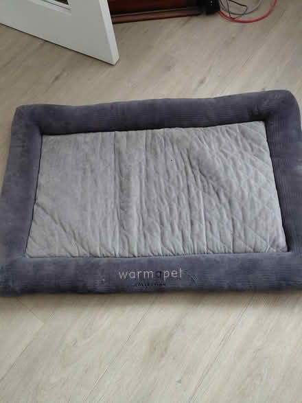Photo of free Dog Bed (Bridge CT4) #1