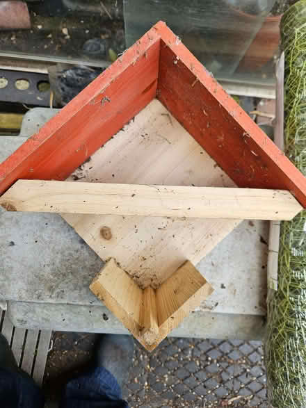 Photo of free Bird feeder (Loughborough LE11) #1