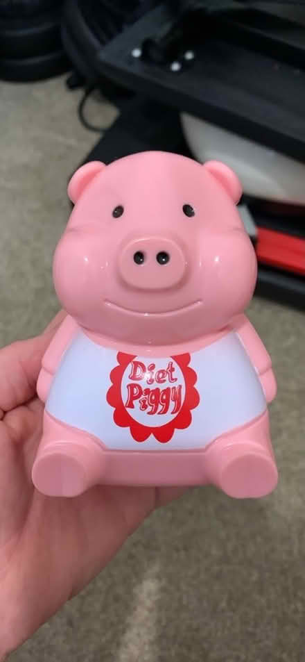 Photo of free Diet Piggy (Loud Bridge PR3) #1