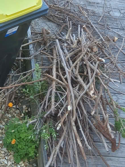 Photo of free Dry branches (Heysham) #1