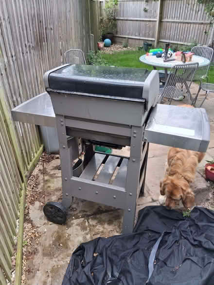 Photo of free Weber gas bbq (Ladygrove OX11) #3