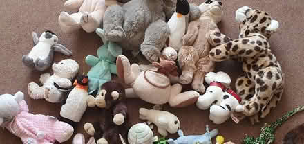 Photo of free Cuddly Toys (Westborough GU2) #3