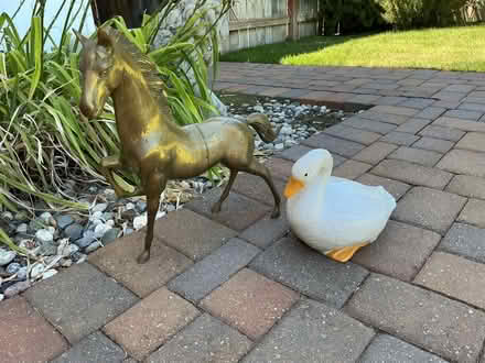 Photo of free Bronze Horse and Ceramic Duck (Lucas Valley) #1