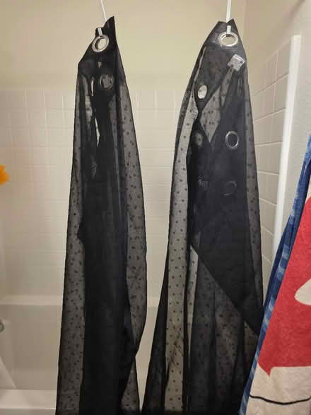 Photo of free Sheer Black Polka Dot Curtains (Central Phoenix) #1