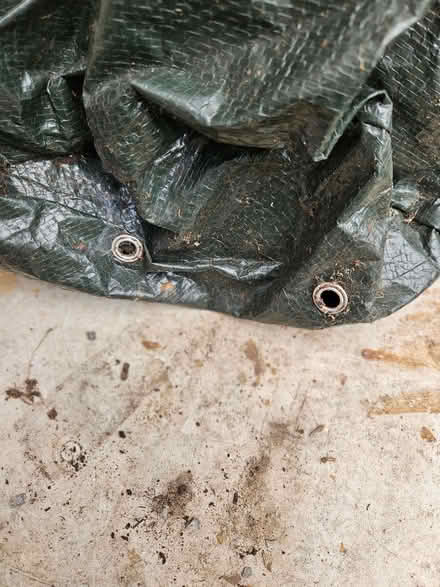Photo of free Plastic bag for growing Potatoes/vegetables (Loughborough LE11) #2