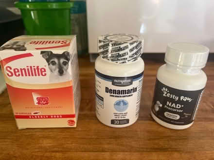 Photo of free Senior dog supplements (Milpitas) #1