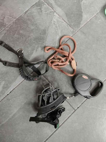 Photo of free Dog leads etc seat cover (BD10) #1