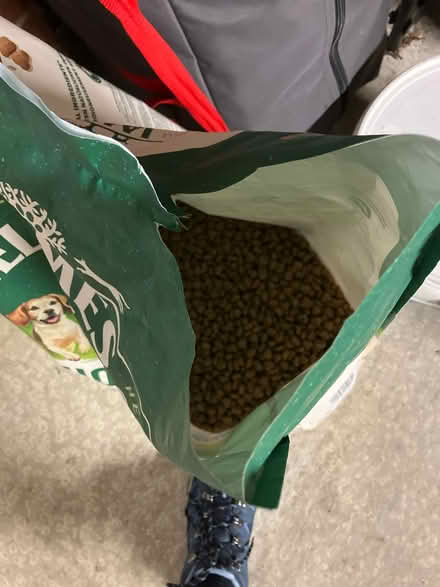 Photo of free Dog biscuit (Carey BH20) #2
