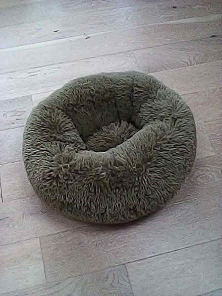 Photo of free Cat / small dog bed (Cattawade CO11) #1