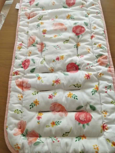 Photo of free Pushchair insert (Funtley PO15) #1