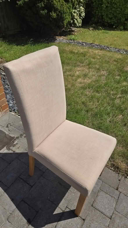 Photo of free Cream dining chairs (Panshanger AL7) #1