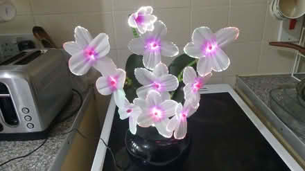 Photo of free Lamp (Ainsdale PR8) #1