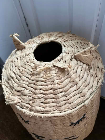 Photo of free Cat laundry basket (Codicote SG4) #2