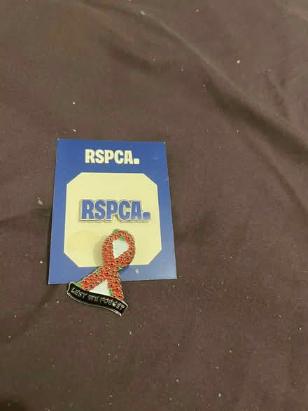Photo of free 2pins (Wandsworth SW18) #1