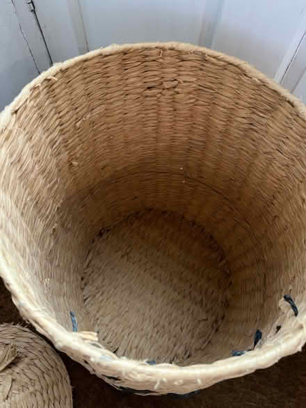 Photo of free Cat laundry basket (Codicote SG4) #3