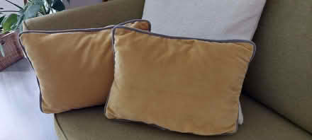 Photo of free Cushions (Park Road EH22) #1