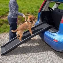 Photo of free Folding dog ramp (Cromer NR27) #1