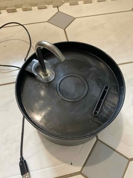 Photo of free Cat drinking fountain (RG2) #1