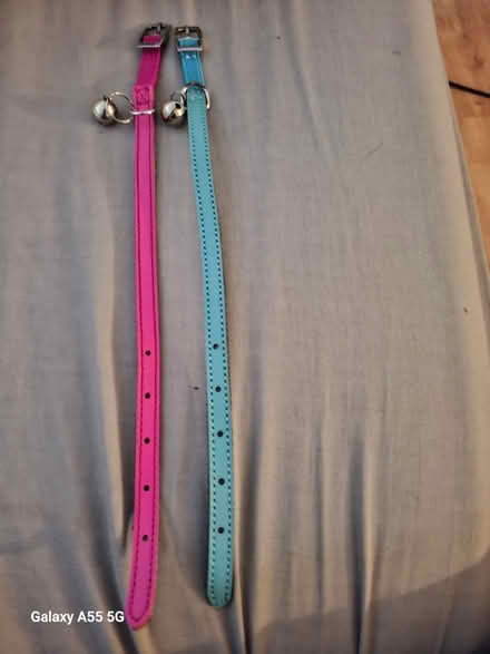 Photo of free 2 cat collars (Hanworth TW13) #2