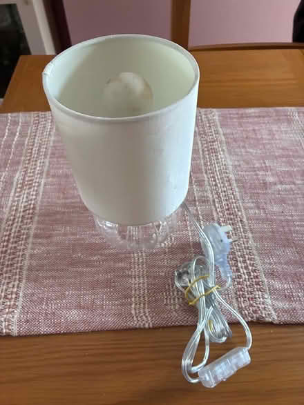 Photo of free Lamps and fan (South Norwood SE25) #2