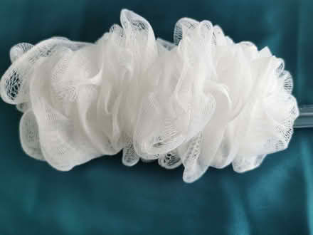 Photo of free Back scrubber (Brandwood End B14) #2