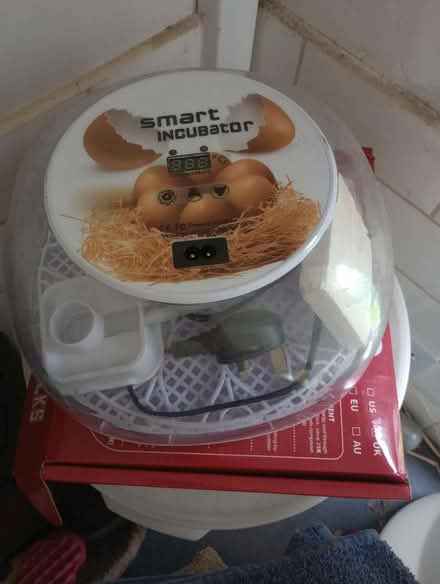 Photo of free Egg Incubator and hatchling heat pad (Kirkby Thore CA10) #1