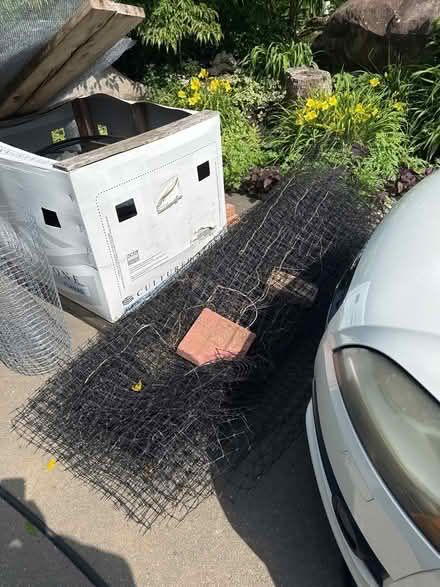 Photo of free 6 ft tall deer fencing used (West Amwell NJ) #1