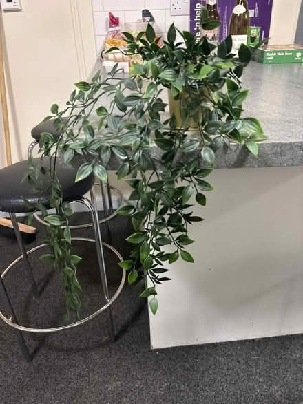 Photo of free Fake plant (Leeds LS2) #2