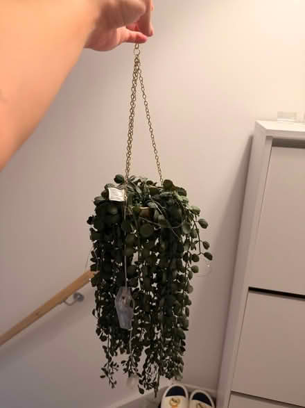 Photo of free Fake plant (Tyrrelstown) #3