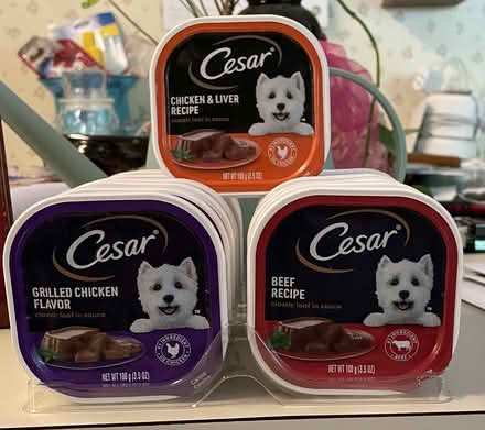 Photo of free Cesar dog food (Auburndale) #1