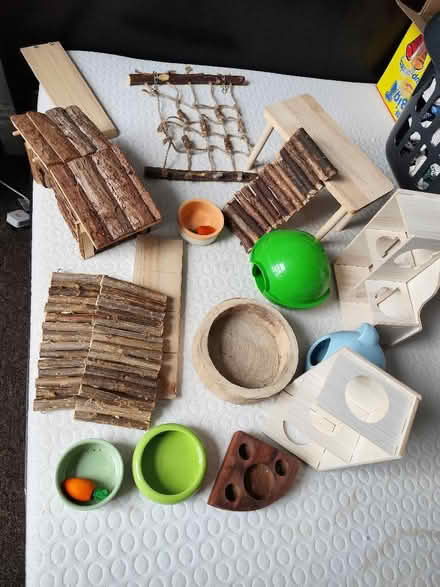 Photo of free Hamster cage accessories (Freehold LA1) #1