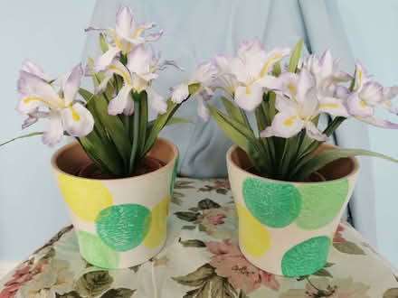 Photo of free Artificial Plants Pair (Brandwood End B14) #1