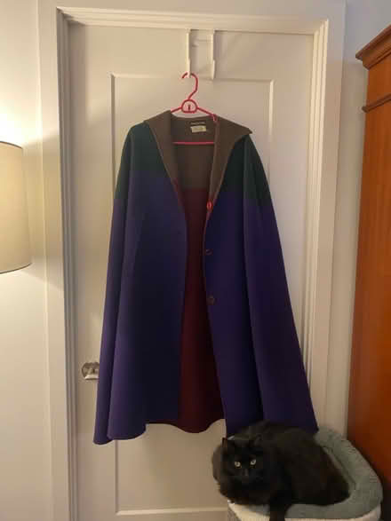 Photo of free Dress + Cape (West End) #1